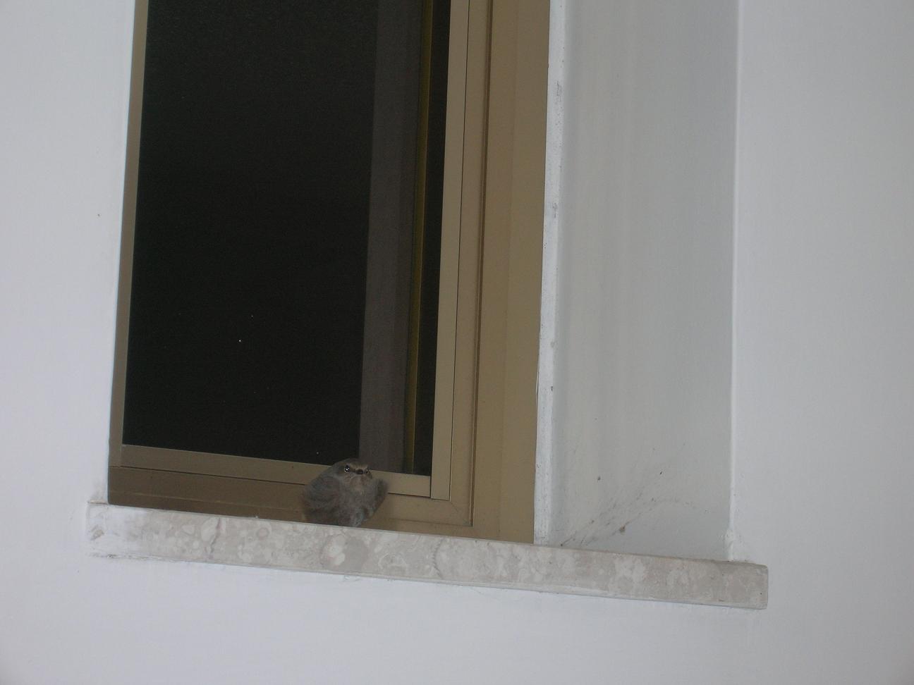 identificazione